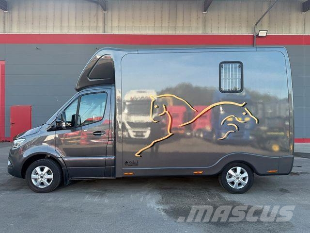 Mercedes-Benz SODIAK HORSE 2 Pferde Luxus Sprinter Dzīvnieku pārvadāšanas transports