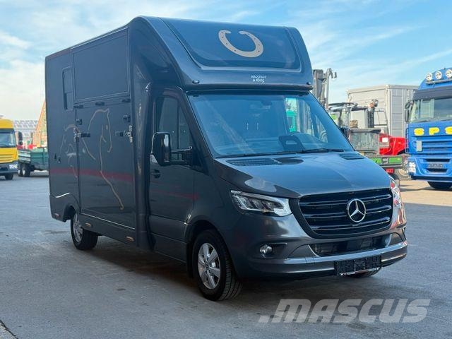 Mercedes-Benz SODIAK HORSE 2 Pferde Luxus Sprinter Dzīvnieku pārvadāšanas transports