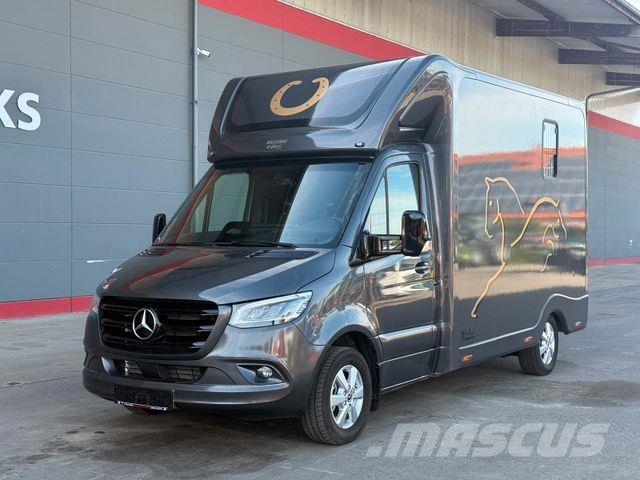 Mercedes-Benz SODIAK HORSE 2 Pferde Luxus Sprinter Dzīvnieku pārvadāšanas transports