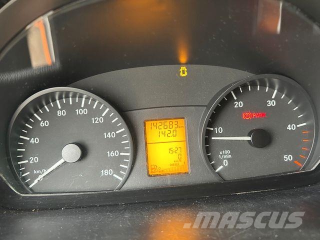 Mercedes-Benz Sprinter II Kasten 313CDI 4x2 شاحنة مقفلة