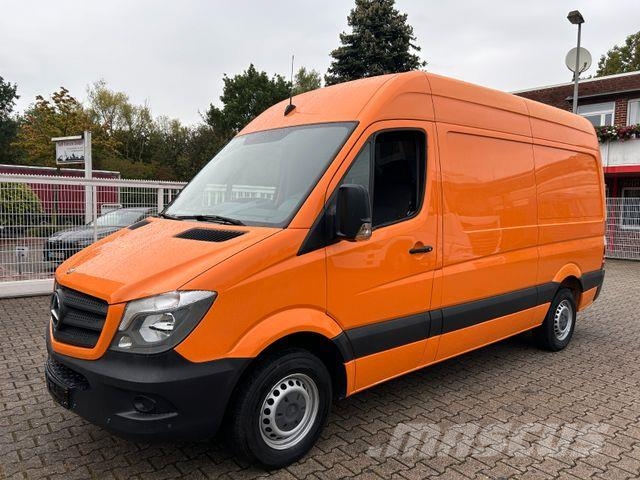 Mercedes-Benz Sprinter II Kasten 313CDI 4x2 شاحنة مقفلة