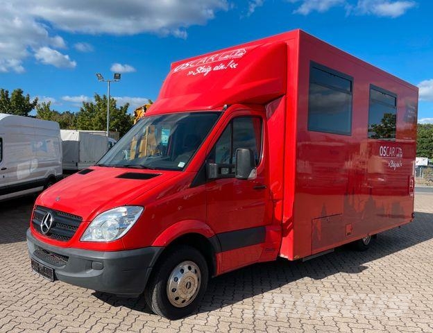 Mercedes-Benz Sprinter 516/ Berger/ Bankmobil/ Beratungsfzg. Citi