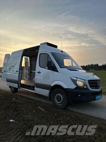 Mercedes-Benz Sprinter Kühlkasten 313 CDI Hoch Mittel بدرجة حرارة قابلة للضبط