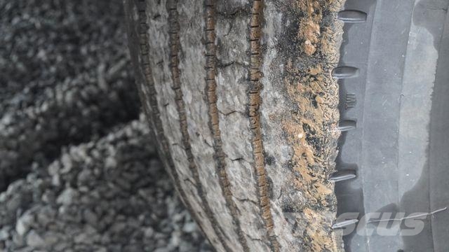 Pavic HTS 24 Holz Holztransporter Holzanhänger Auflieg نصف مقطورات لنقل الأشجار