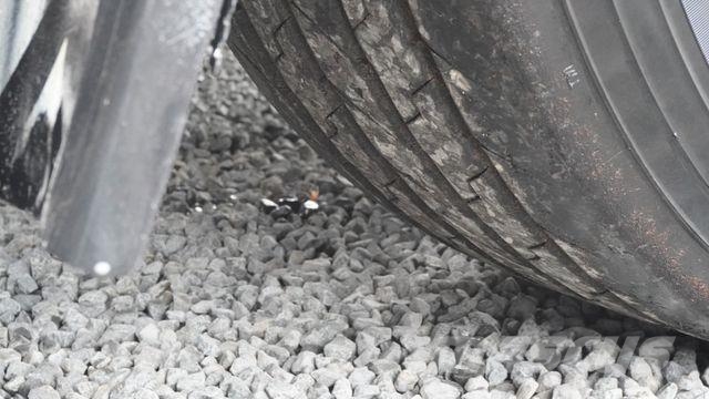 Schwarzmüller S1 Auflieger Holztransporter SAF-Achsen Lift Poluprikolice za stabla