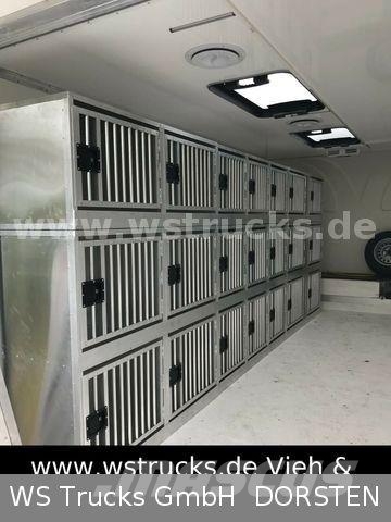 Speziell Kleintier Klima Heizung Autak Livestock carrying trailers