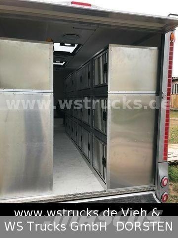 Speziell Kleintier Klima Heizung Autak Livestock carrying trailers