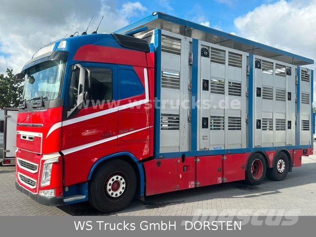 Volvo FH 500 Globetrotter XL Menke 3 Stock Hubdach Камиони за превоз на животни