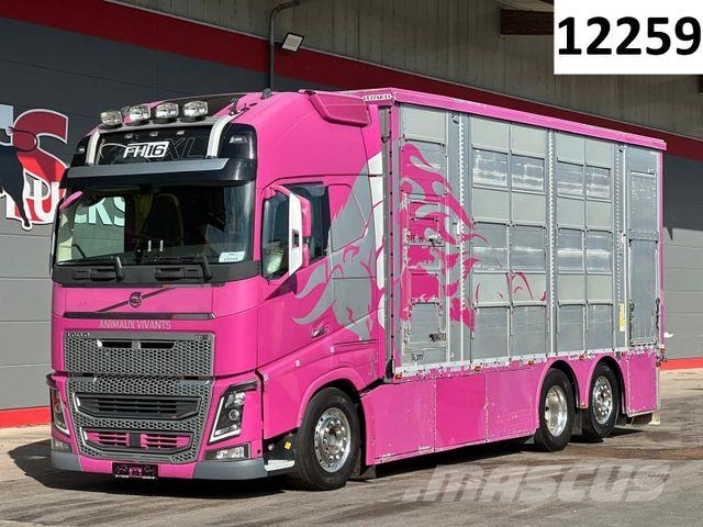 Volvo FH 650 6x2 2.Stock Pezzaioli Viehtransporter Eläinkuljetusautot