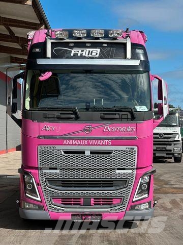 Volvo FH 650 6x2 2.Stock Pezzaioli Viehtransporter Eläinkuljetusautot