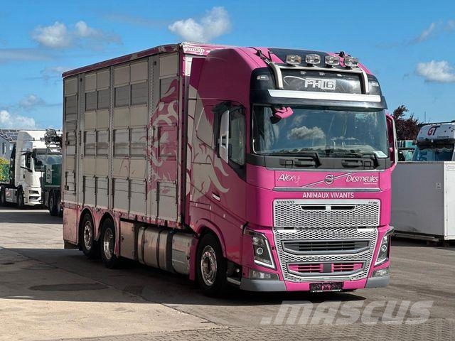 Volvo FH 650 6x2 2.Stock Pezzaioli Viehtransporter Eläinkuljetusautot