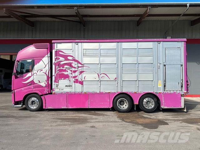 Volvo FH 650 6x2 2.Stock Pezzaioli Viehtransporter Eläinkuljetusautot