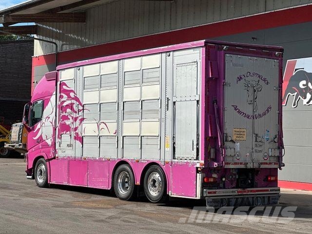 Volvo FH 650 6x2 2.Stock Pezzaioli Viehtransporter Eläinkuljetusautot