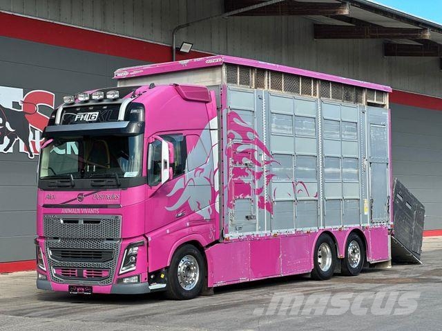 Volvo FH 650 6x2 2.Stock Pezzaioli Viehtransporter Eläinkuljetusautot