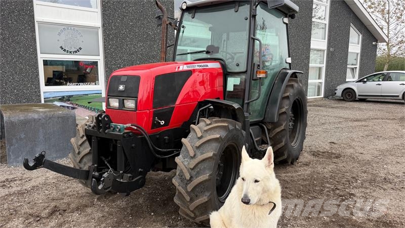 Massey Ferguson 2430 GE  2430 GE Kompakte traktorer