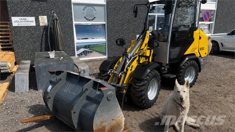Wacker Neuson WL28 LUKKET KABINE, SKOVL OG GAFLER, HYDRAULISK SK Minilæsser - knækstyret