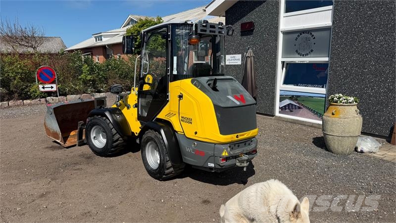 Wacker Neuson WL28 LUKKET HUS, SKOVL OG GAFLER , HYDRAULISK SKIF Minicargadoras