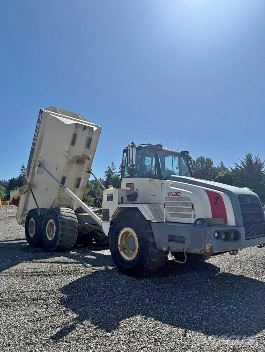 Terex TA30 Панельні фургони