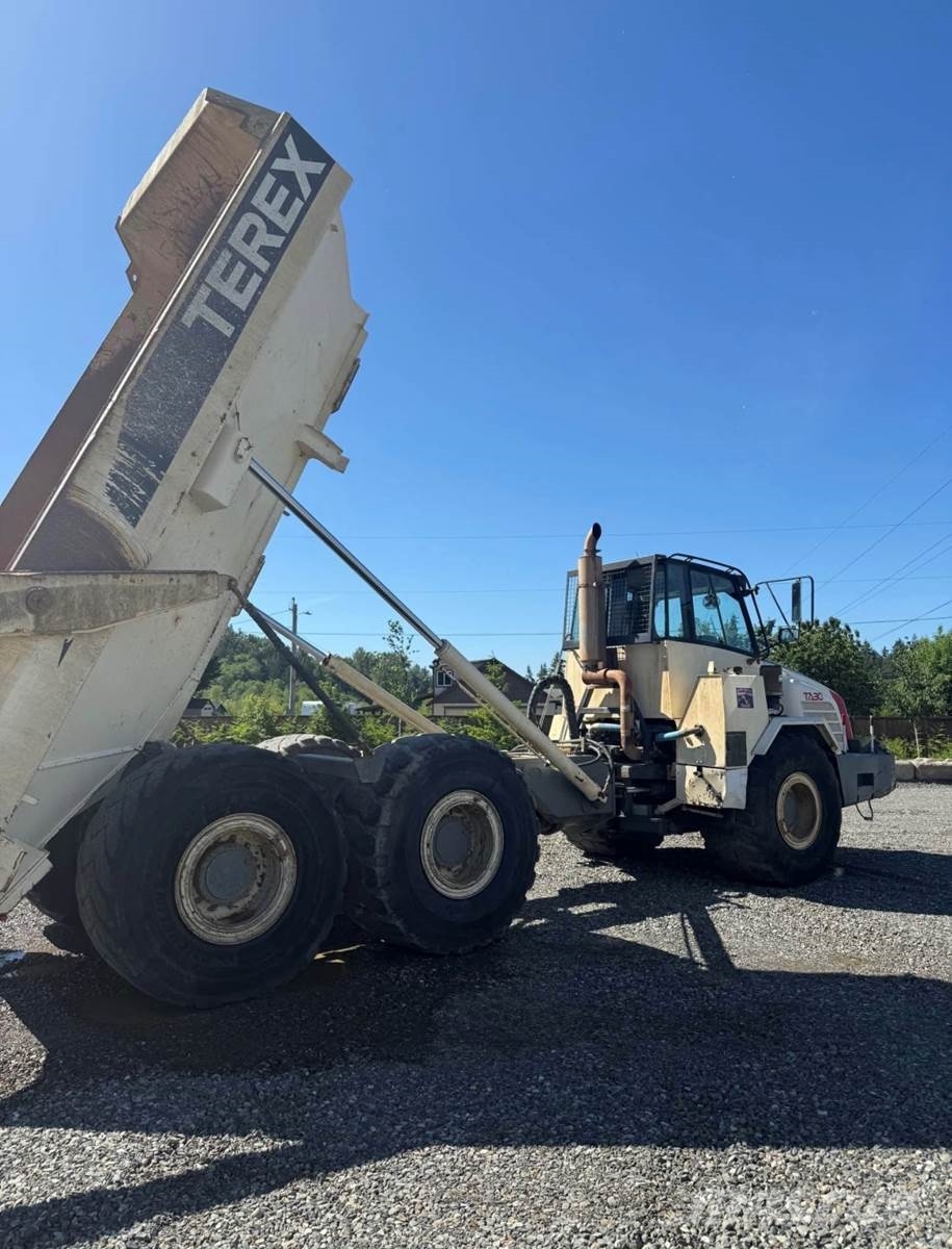 Terex TA30 Панельні фургони