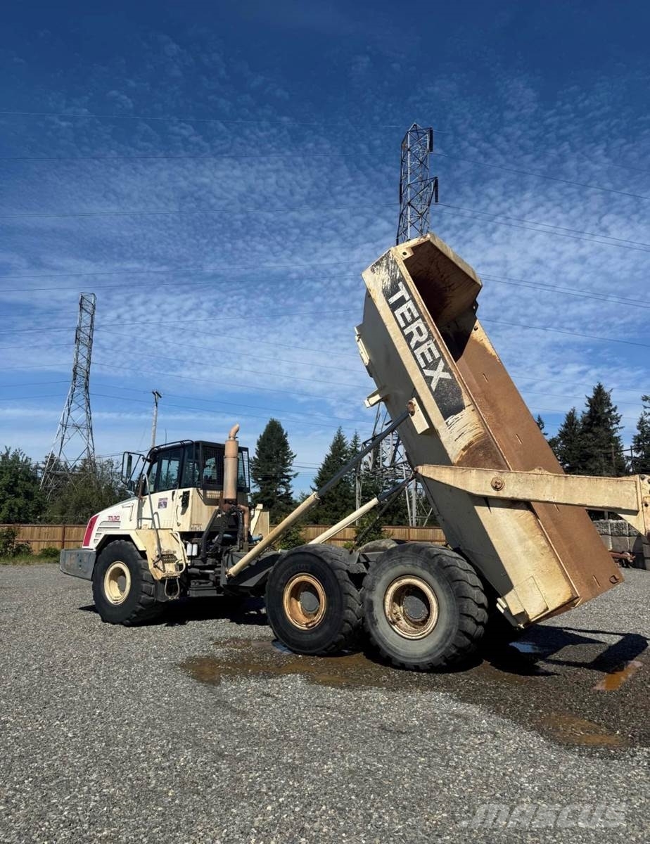 Terex TA30 Панельні фургони