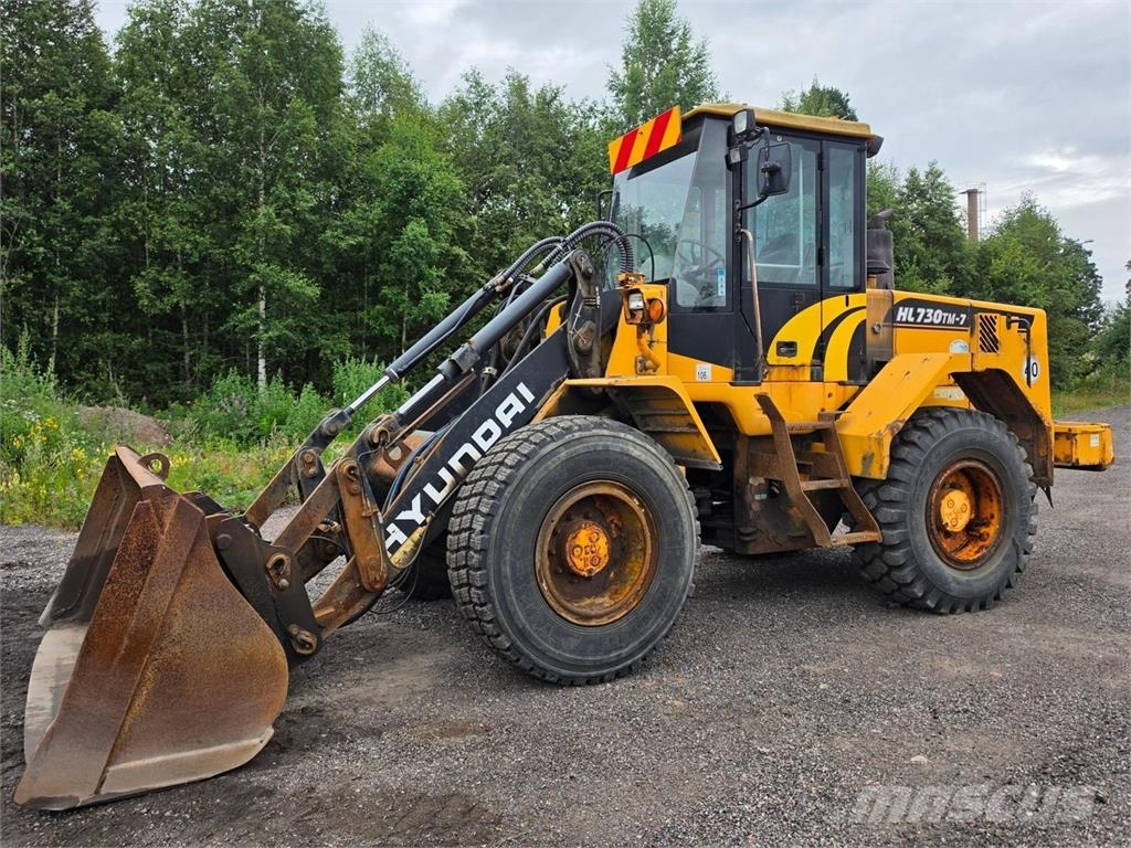 Hyundai HL730TM-7, Rasvari, Kauha Radlader