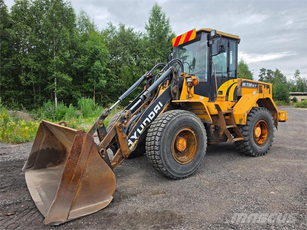 Hyundai HL730TM-7, Rasvari, Kauha Radlader