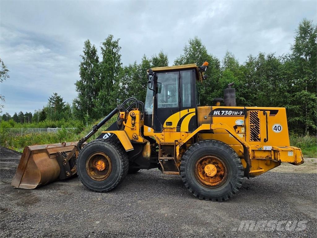 Hyundai HL730TM-7, Rasvari, Kauha Radlader
