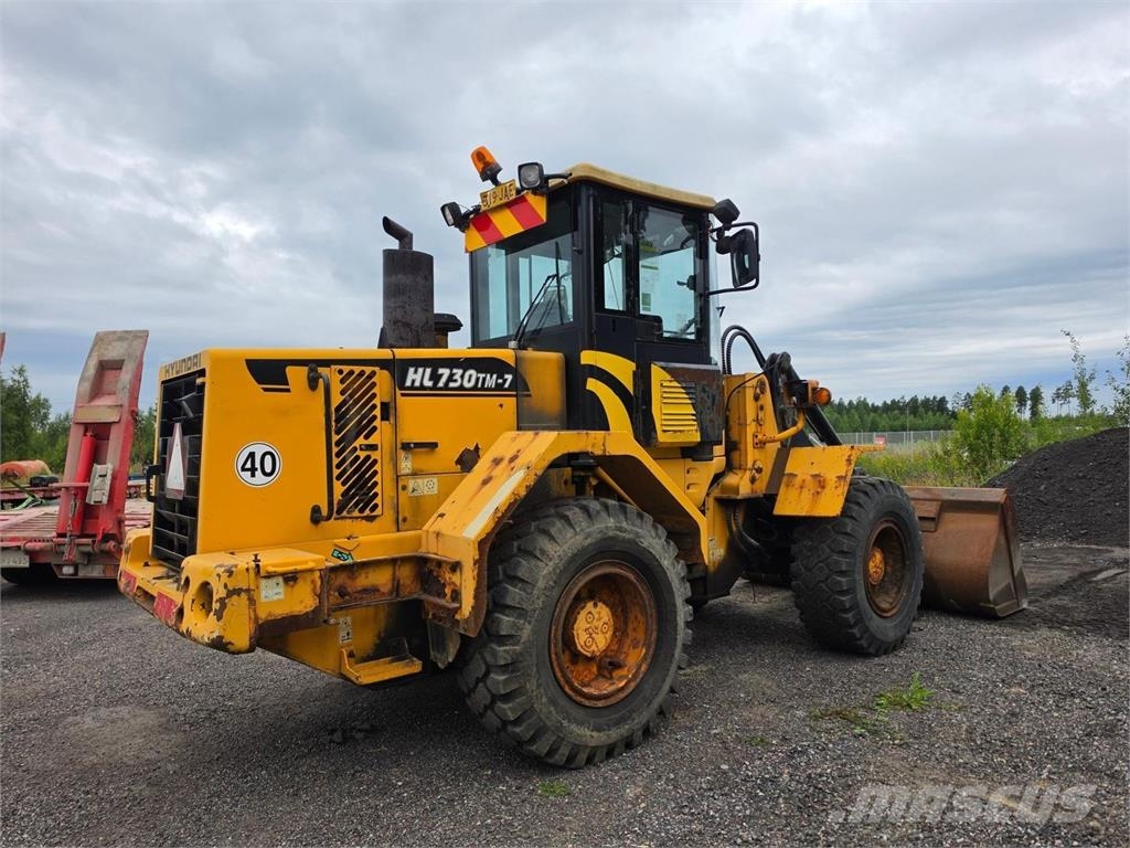 Hyundai HL730TM-7, Rasvari, Kauha Radlader
