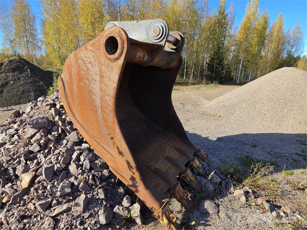 Kynsikuokkakauha Kauhat
