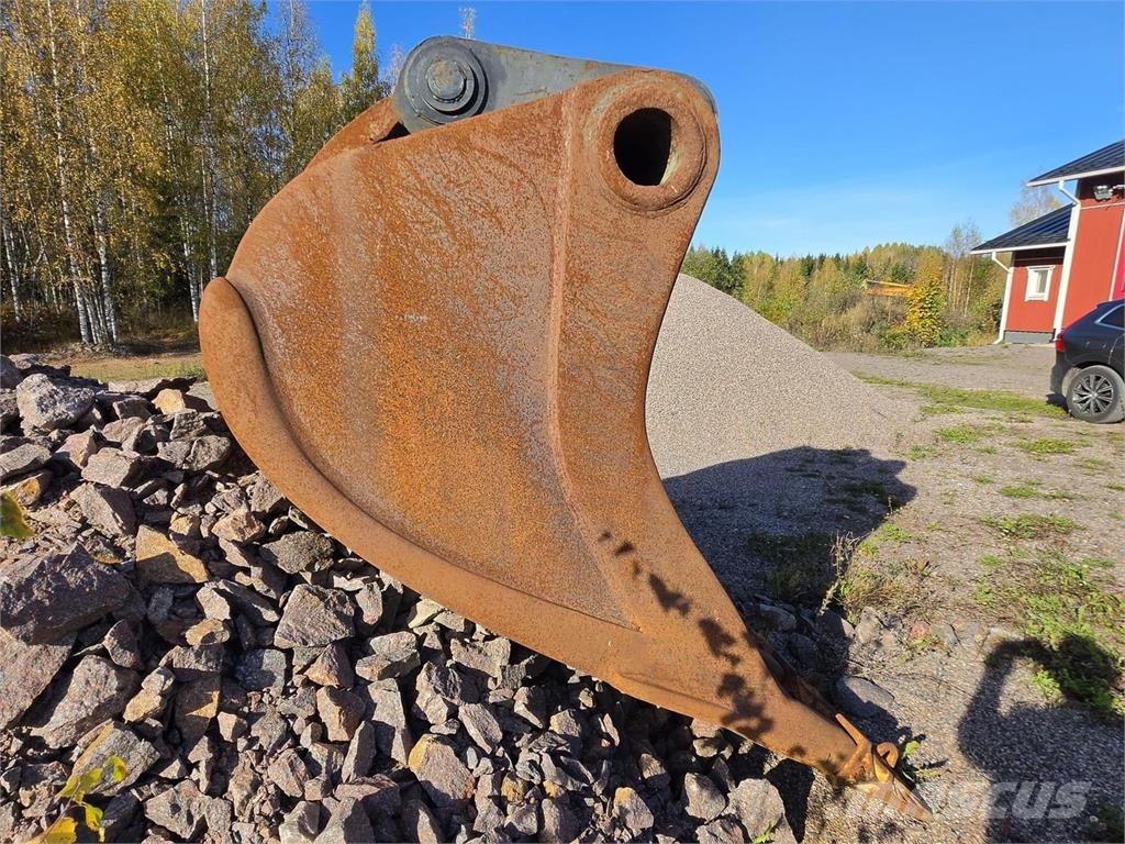 Kynsikuokkakauha Kauhat