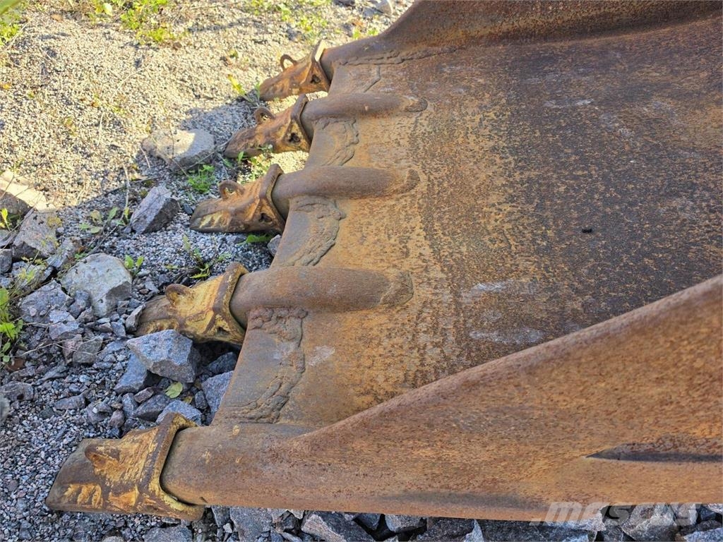 Kynsikuokkakauha Kauhat
