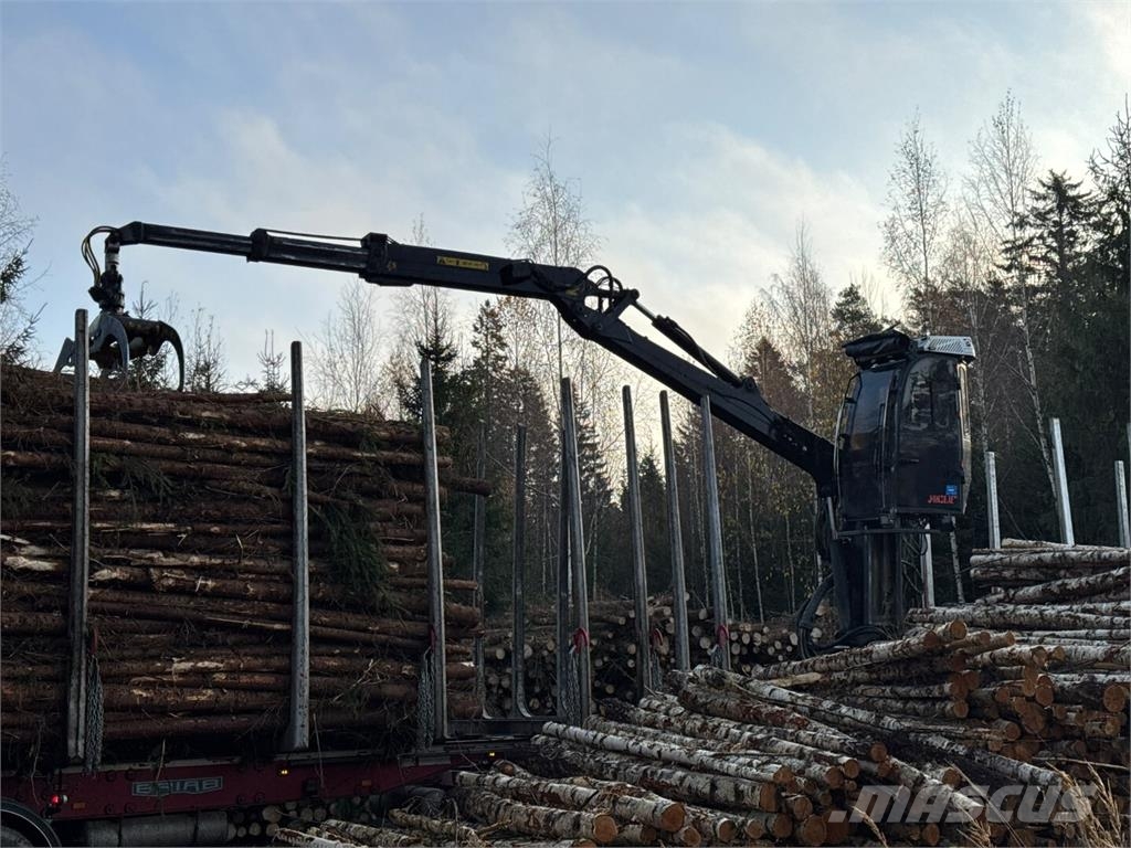 Scania R 650 Puuautot