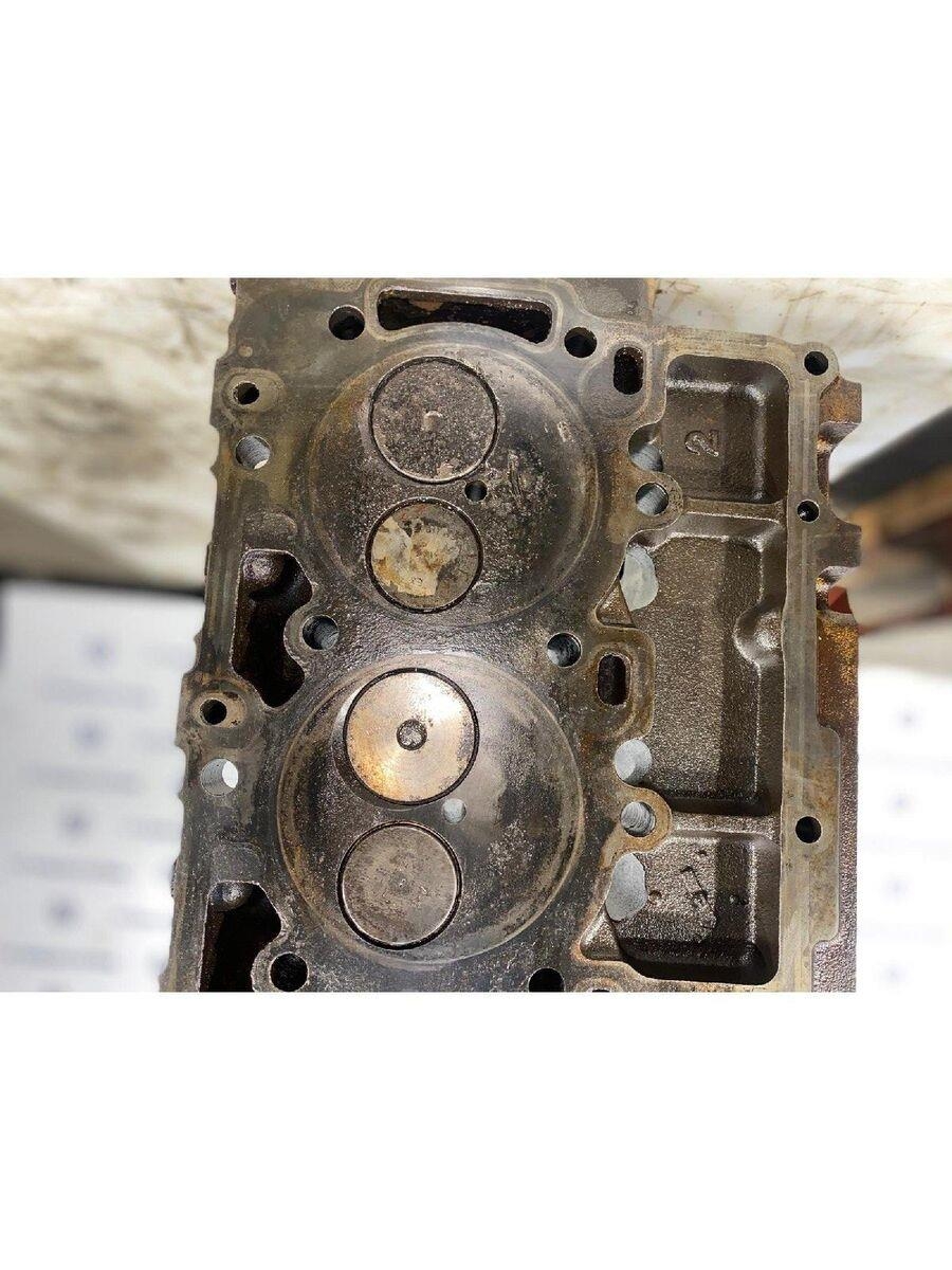 CAT Cabeça do Motor com Válvulas 3204 Motores