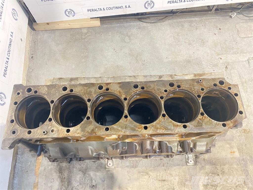 Renault N/d / DXI11 Bloco do Motor Varikliai