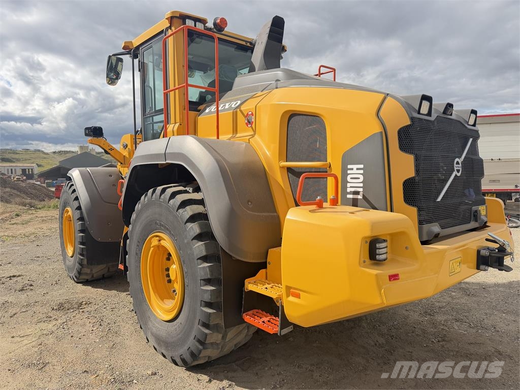 Volvo L110H Cargadoras sobre ruedas