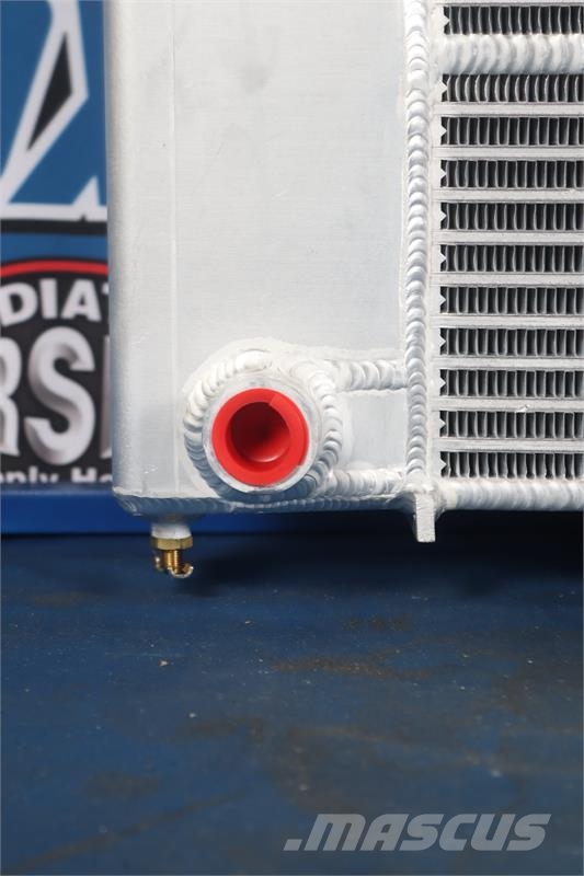 International Radiator # 603194 Radiators