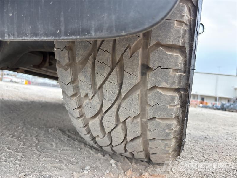 Ford Ranger Wildtrak 4x4 Dual Cab Pickup 其他