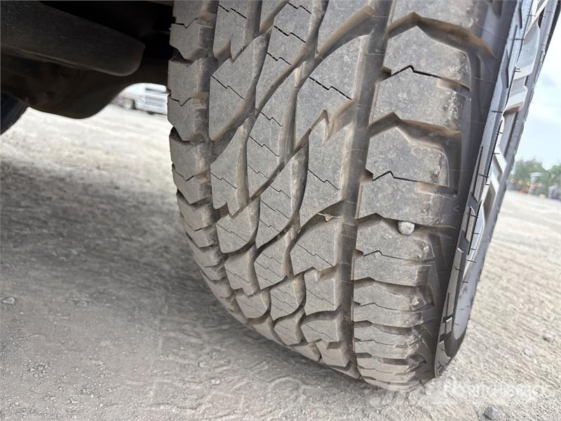 Ford Ranger Wildtrak 4x4 Dual Cab Pickup 其他