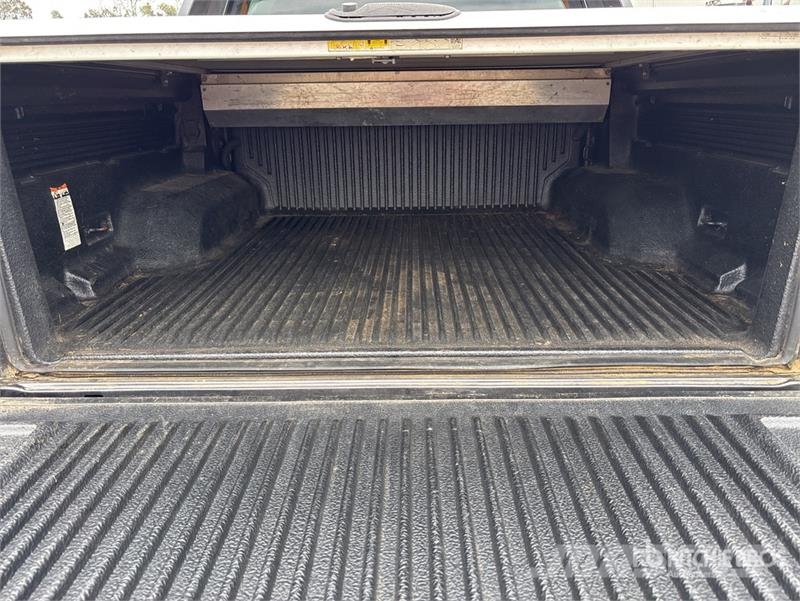 Ford Ranger Wildtrak 4x4 Dual Cab Pickup 其他