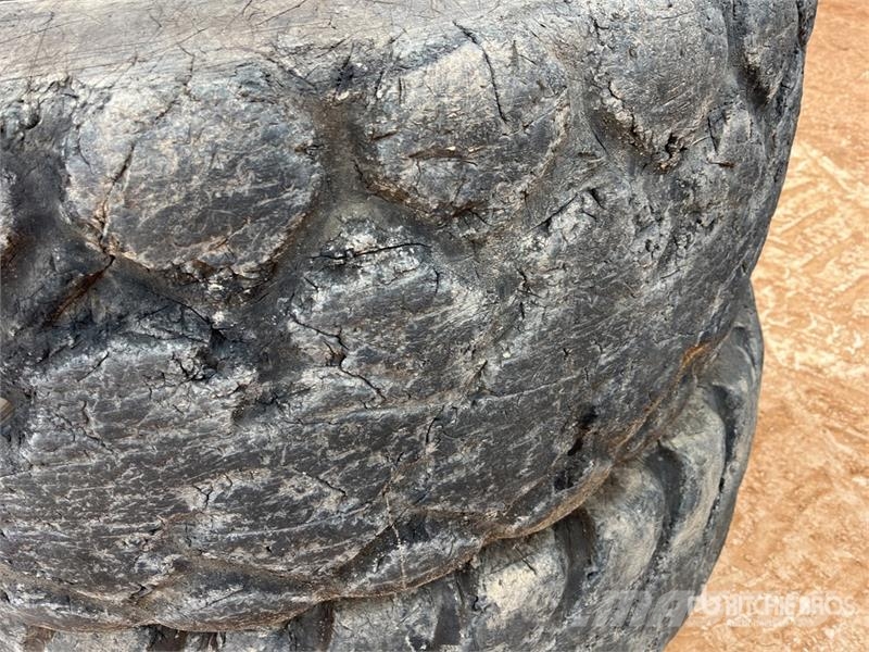 Quantity of (2) 20.5R25 Tires Tekerlekler