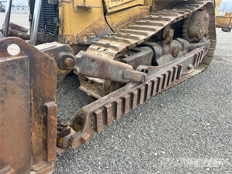 CAT D8T Buldozer sobre oruga