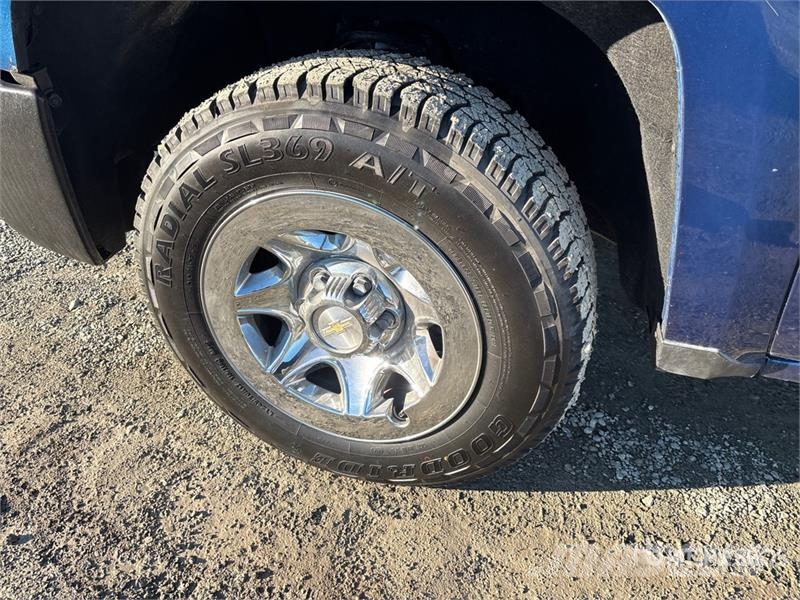 Chevrolet Silverado 1500 Ciężarówki typu Platforma / Skrzynia