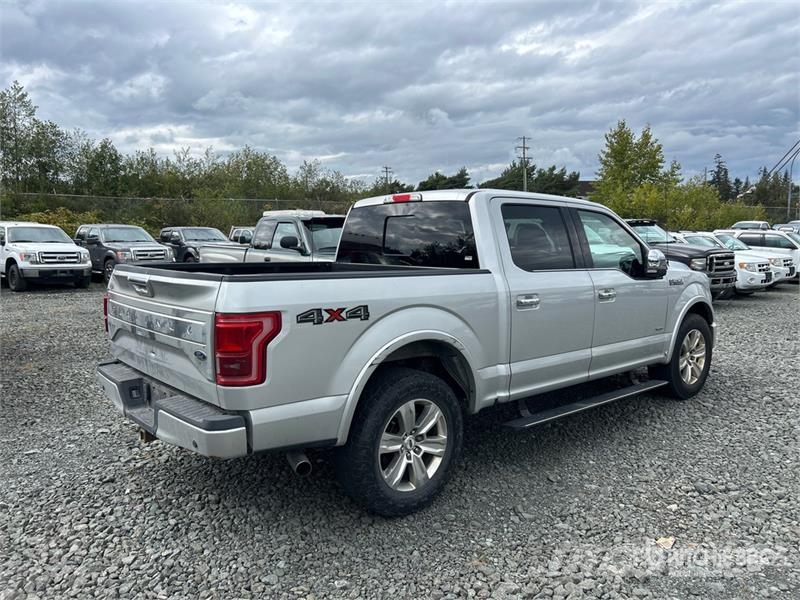 Ford F-150 Прочие фургоны