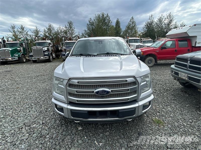 Ford F-150 Прочие фургоны