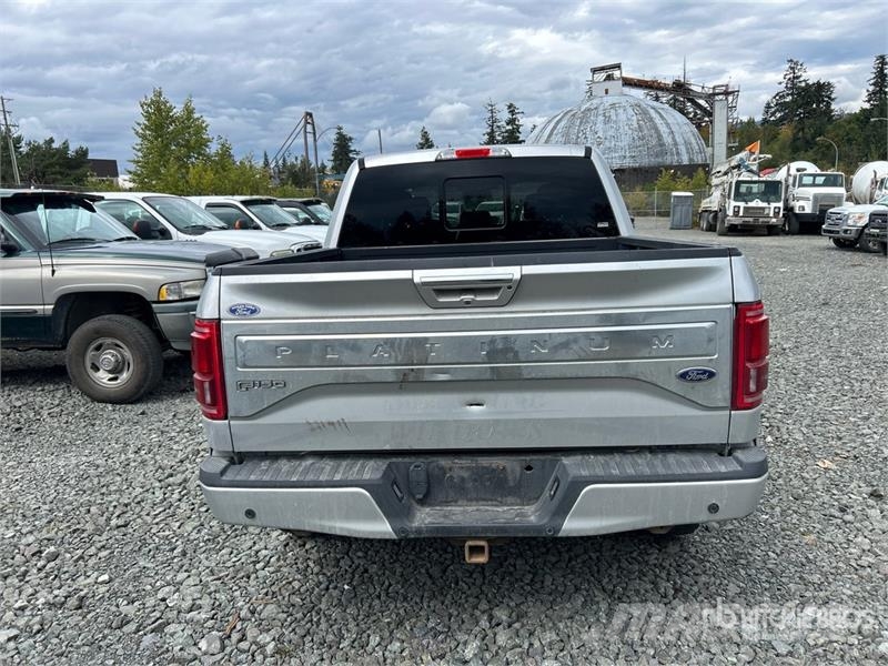 Ford F-150 Прочие фургоны