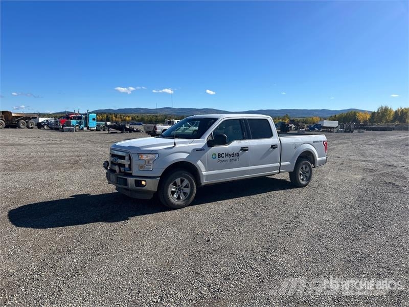 Ford F-150 4x4 Crew Cab Pickup أخرى