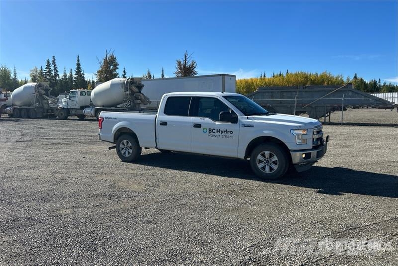Ford F-150 4x4 Crew Cab Pickup أخرى