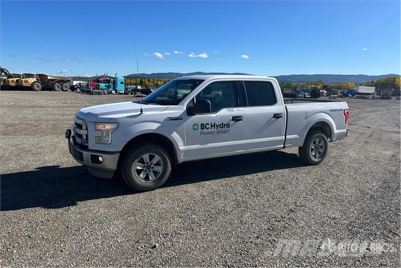 Ford F-150 4x4 Crew Cab Pickup أخرى