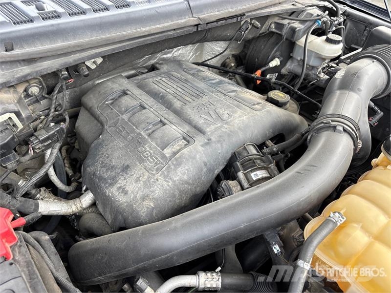 Ford F-150 XLT 4x4 Crew Cab Pickup Furgoni altro