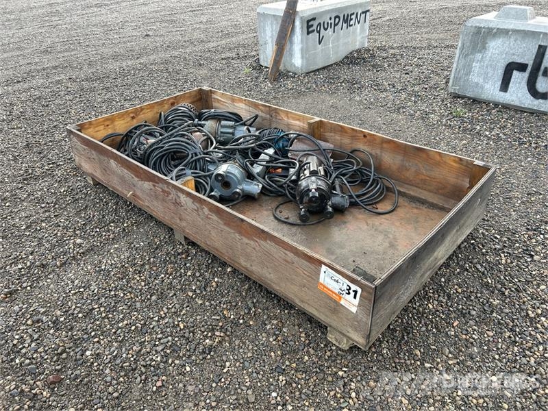  Quantity of (6) 2 in pumps مضخات المياه
